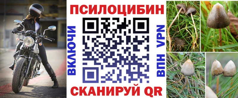 Псилоцибиновые грибы MAGIC MUSHROOMS  Саки 